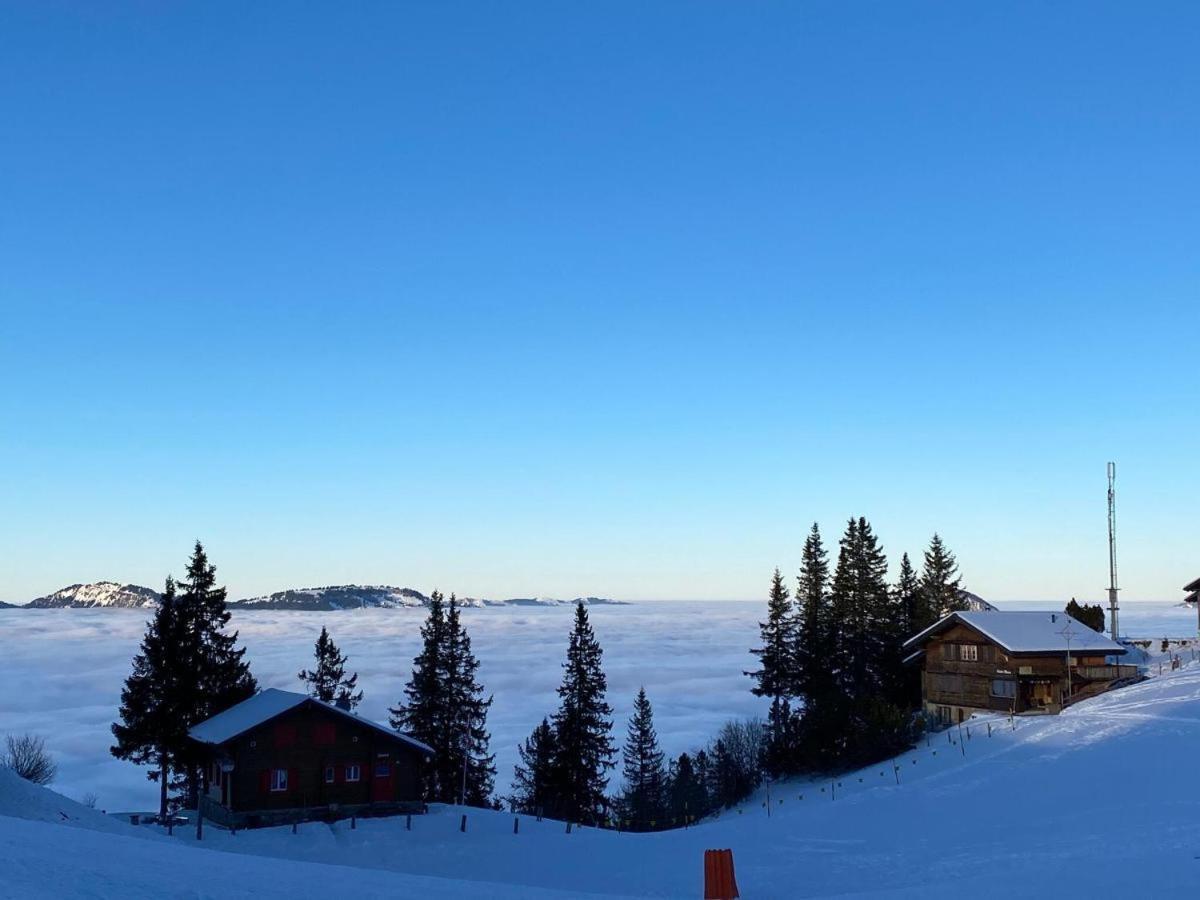 Solohike Mountainview Lägenhet Seelisberg Exteriör bild