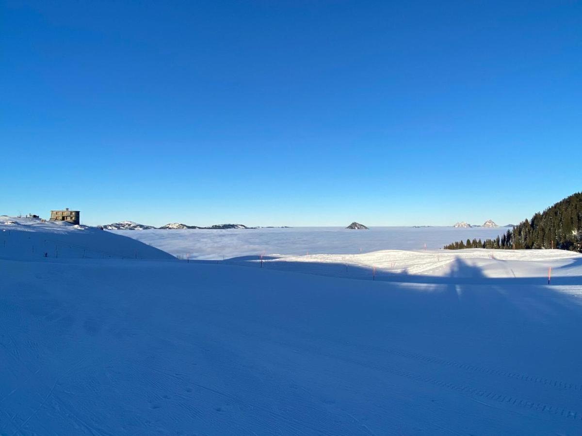 Solohike Mountainview Lägenhet Seelisberg Exteriör bild